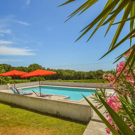 Holiday home Amazing In Giuncaggo With Wifi